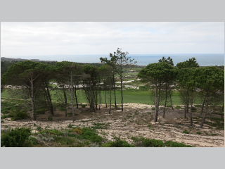 Praia Del Rey_0088.jpg